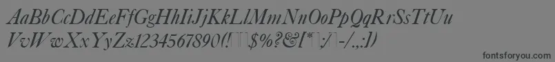 フォントCaslonItalicPlain – 黒い文字の灰色の背景