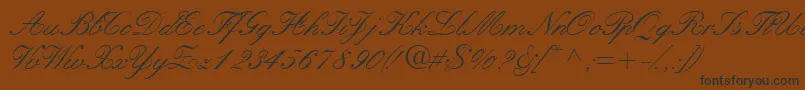 Quillscriptssk Font – Black Fonts on Brown Background