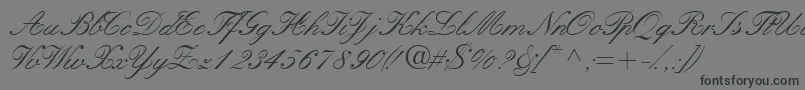 フォントQuillscriptssk – 黒い文字の灰色の背景