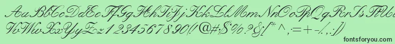 Quillscriptssk Font – Black Fonts on Green Background