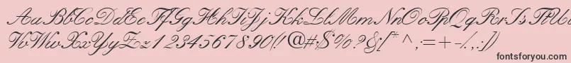 Fonte Quillscriptssk – fontes pretas em um fundo rosa