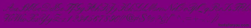 Quillscriptssk Font – Black Fonts on Purple Background