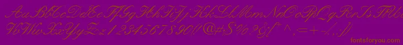 Quillscriptssk Font – Brown Fonts on Purple Background