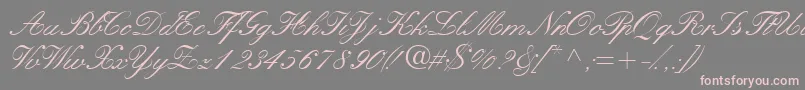 Quillscriptssk Font – Pink Fonts on Gray Background