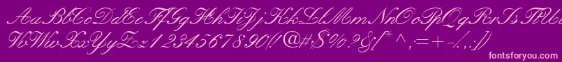 Quillscriptssk Font – Pink Fonts on Purple Background