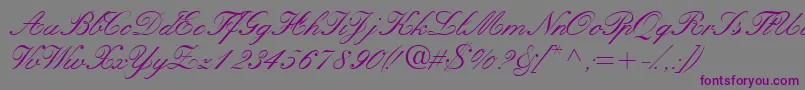Шрифт Quillscriptssk – фиолетовые шрифты на сером фоне