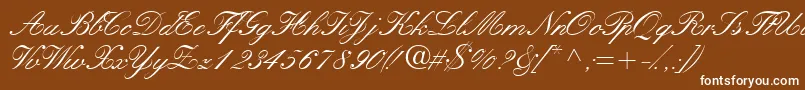 フォントQuillscriptssk – 茶色の背景に白い文字