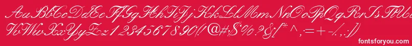 Quillscriptssk-Schriftart – Weiße Schriften auf rotem Hintergrund