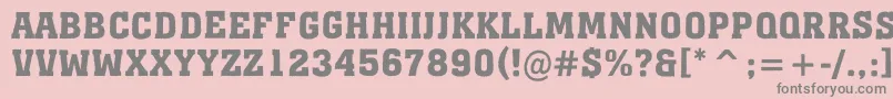 AMonumentotitulrgBold Font – Gray Fonts on Pink Background