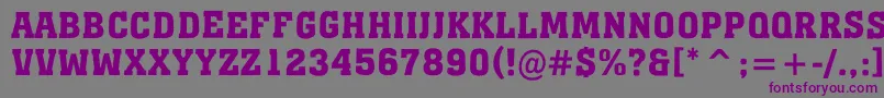 AMonumentotitulrgBold Font – Purple Fonts on Gray Background
