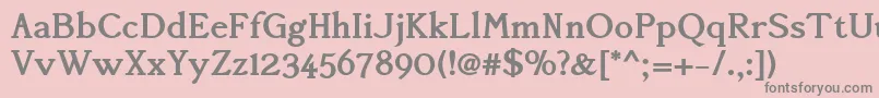 AccanthisadfstdBold Font – Gray Fonts on Pink Background