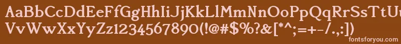 Police AccanthisadfstdBold – polices roses sur fond brun
