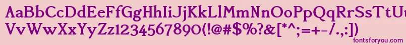 AccanthisadfstdBold Font – Purple Fonts on Pink Background