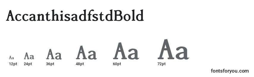 AccanthisadfstdBold Font Sizes