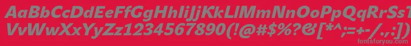 JohnsansBlackProItalic Font – Gray Fonts on Red Background