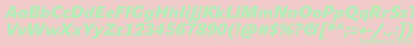 JohnsansBlackProItalic Font – Green Fonts on Pink Background