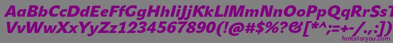 JohnsansBlackProItalic Font – Purple Fonts on Gray Background