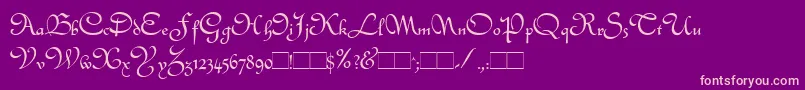Quintly Font – Pink Fonts on Purple Background