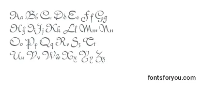 Quintly Font
