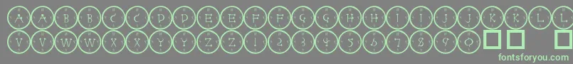 101 Font – Green Fonts on Gray Background