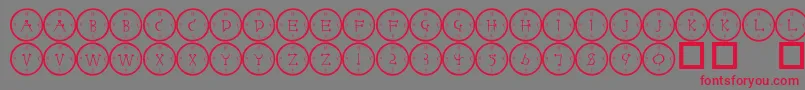 フォント101 – 赤い文字の灰色の背景