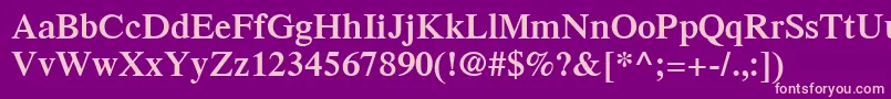 TimesLtSemibold Font – Pink Fonts on Purple Background
