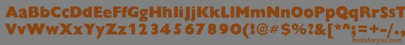 ChantillyXboldRegular Font – Brown Fonts on Gray Background