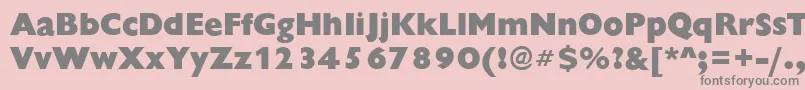ChantillyXboldRegular Font – Gray Fonts on Pink Background