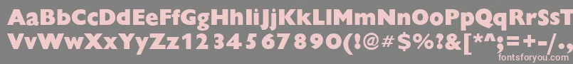 ChantillyXboldRegular Font – Pink Fonts on Gray Background