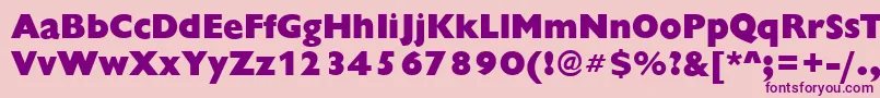 ChantillyXboldRegular Font – Purple Fonts on Pink Background