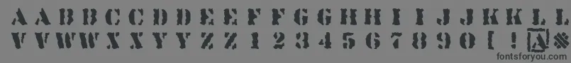 Linotypesjablony Font – Black Fonts on Gray Background