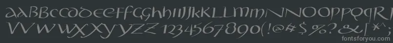 フォントStyloscapitalead100 – 黒い背景に灰色の文字