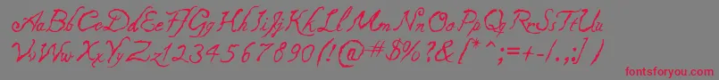 Caligraf1435 Font – Red Fonts on Gray Background