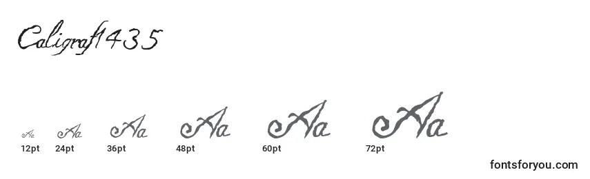 Größen der Schriftart Caligraf1435 (111549)