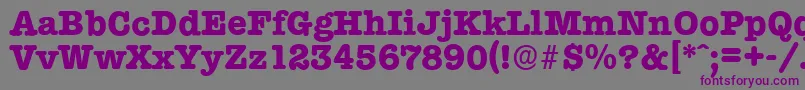TypewriterserialXboldRegular Font – Purple Fonts on Gray Background