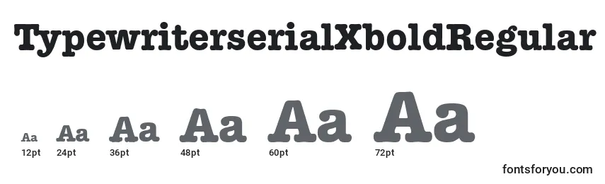 Размеры шрифта TypewriterserialXboldRegular