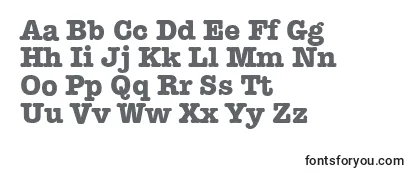 TypewriterserialXboldRegular Font
