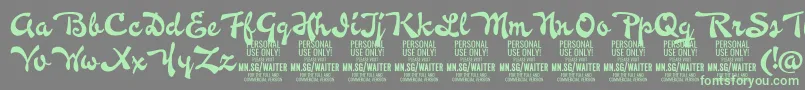 WaiterPersonalUseOnly Font – Green Fonts on Gray Background