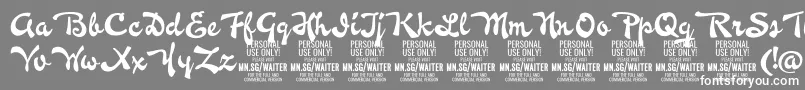 WaiterPersonalUseOnly Font – White Fonts on Gray Background