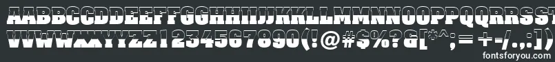 AAssuantitulbwBold Font – White Fonts on Black Background