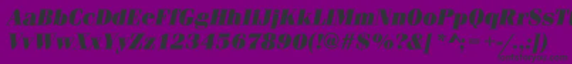 FerraraUltraItalic-fontti – mustat fontit violetilla taustalla