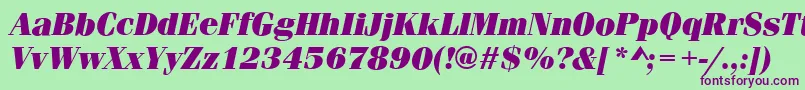 FerraraUltraItalic Font – Purple Fonts on Green Background