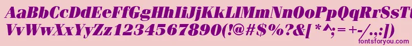 fuente FerraraUltraItalic – Fuentes Moradas Sobre Fondo Rosa