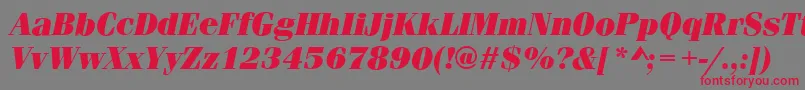 Czcionka FerraraUltraItalic – czerwone czcionki na szarym tle