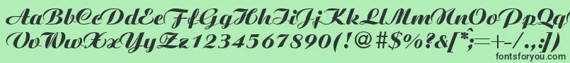 AgnesextraboldRegular Font – Black Fonts on Green Background