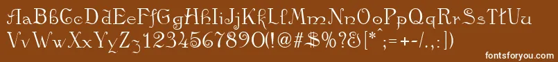 Kamelia Font – White Fonts on Brown Background