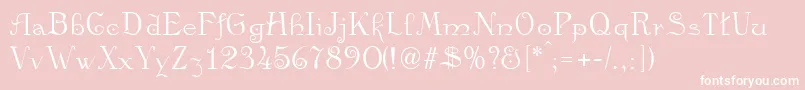 Kamelia Font – White Fonts on Pink Background