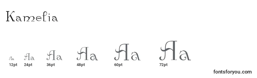 Размеры шрифта Kamelia