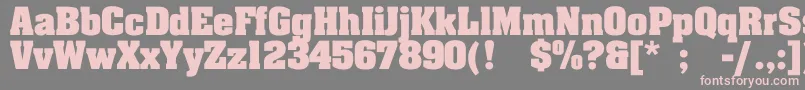 LakelandBold Font – Pink Fonts on Gray Background