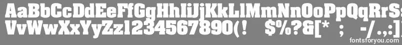 フォントLakelandBold – 灰色の背景に白い文字